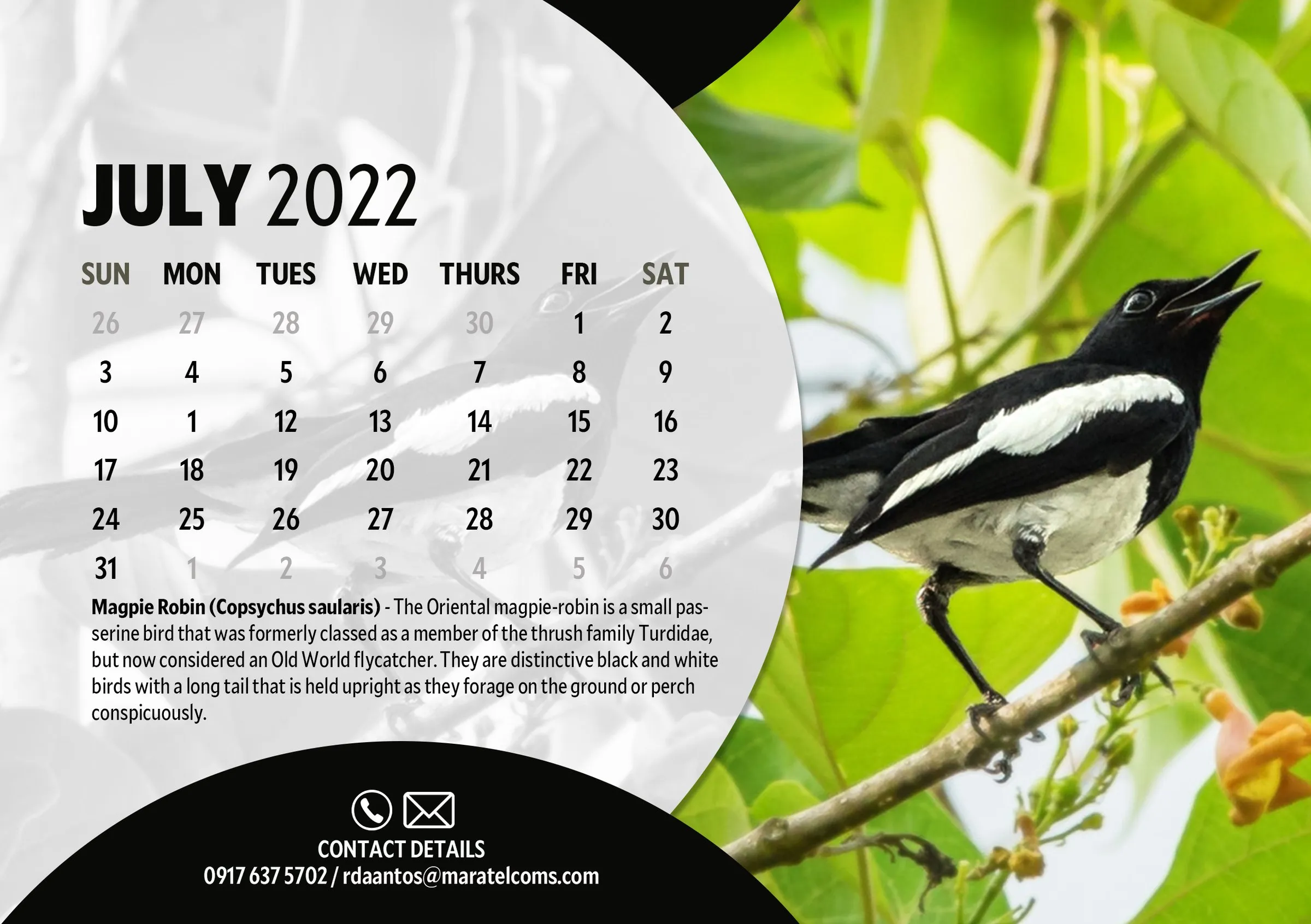 July 2022 page with an Oriental Magpie-Robin, a black and white bird singing on a branch.