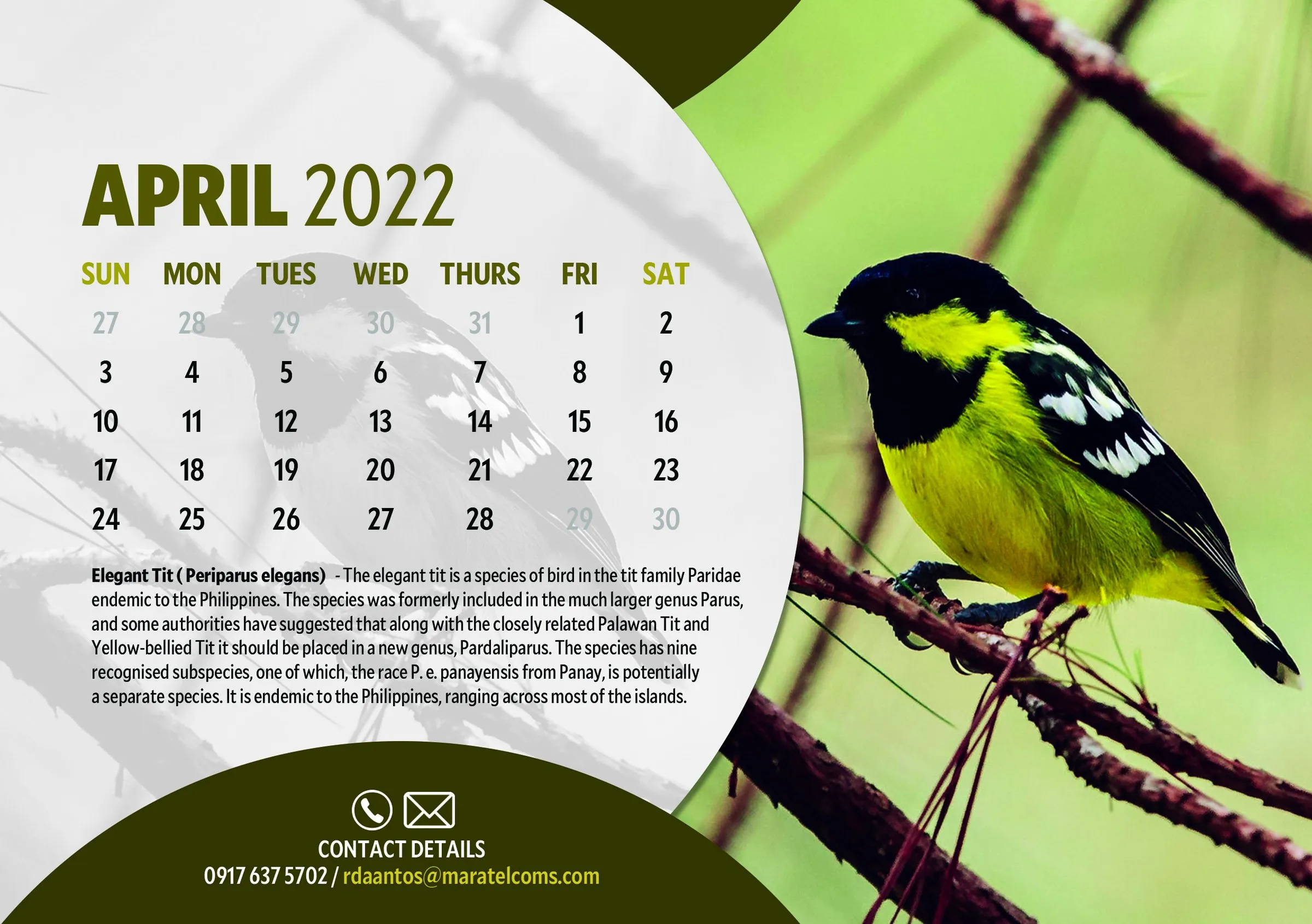 April 2022 page with an Elegant Tit, a small yellow and black bird found only in the Philippines.