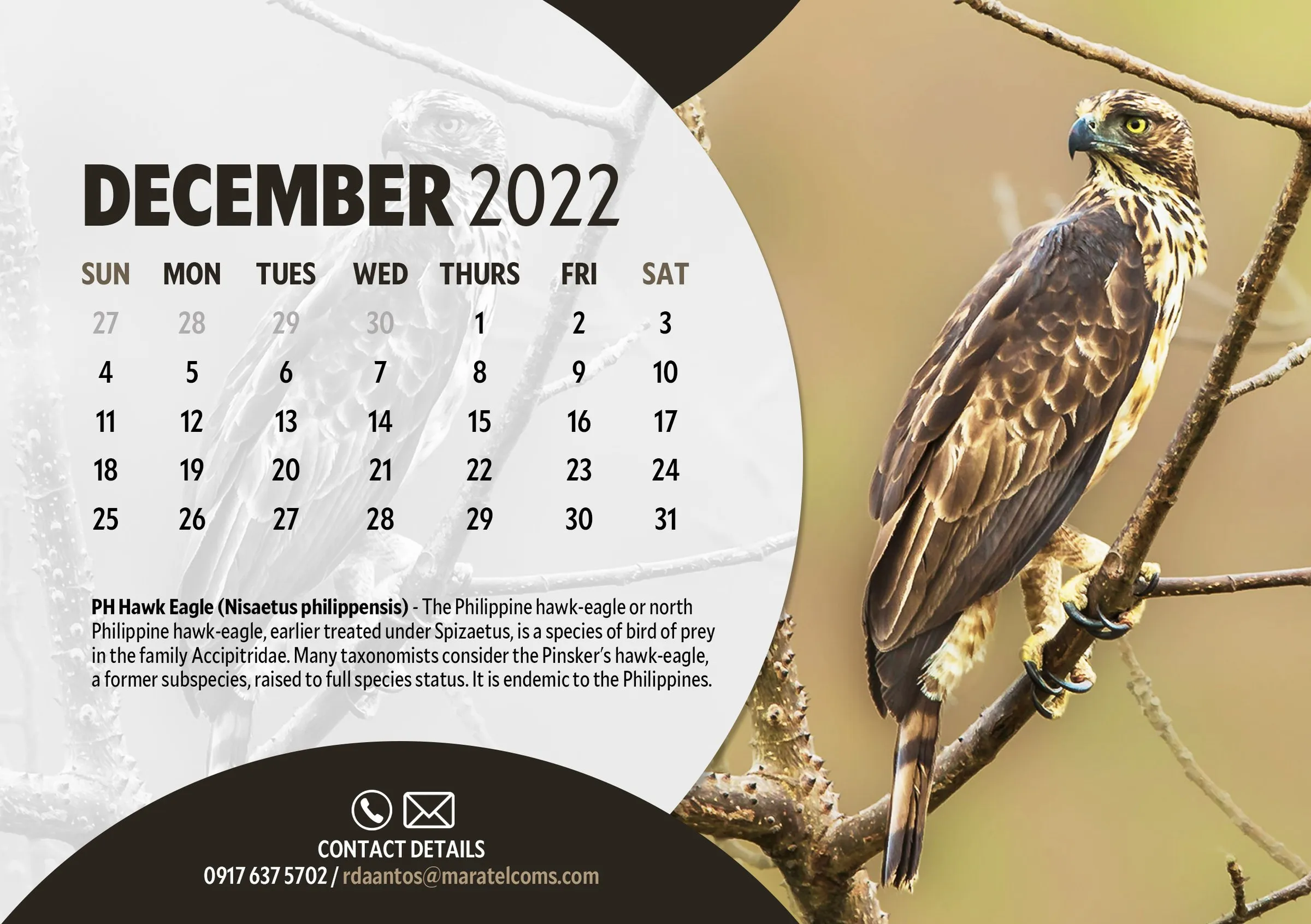 December 2022 page with a Philippine Hawk-Eagle perched on a branch.