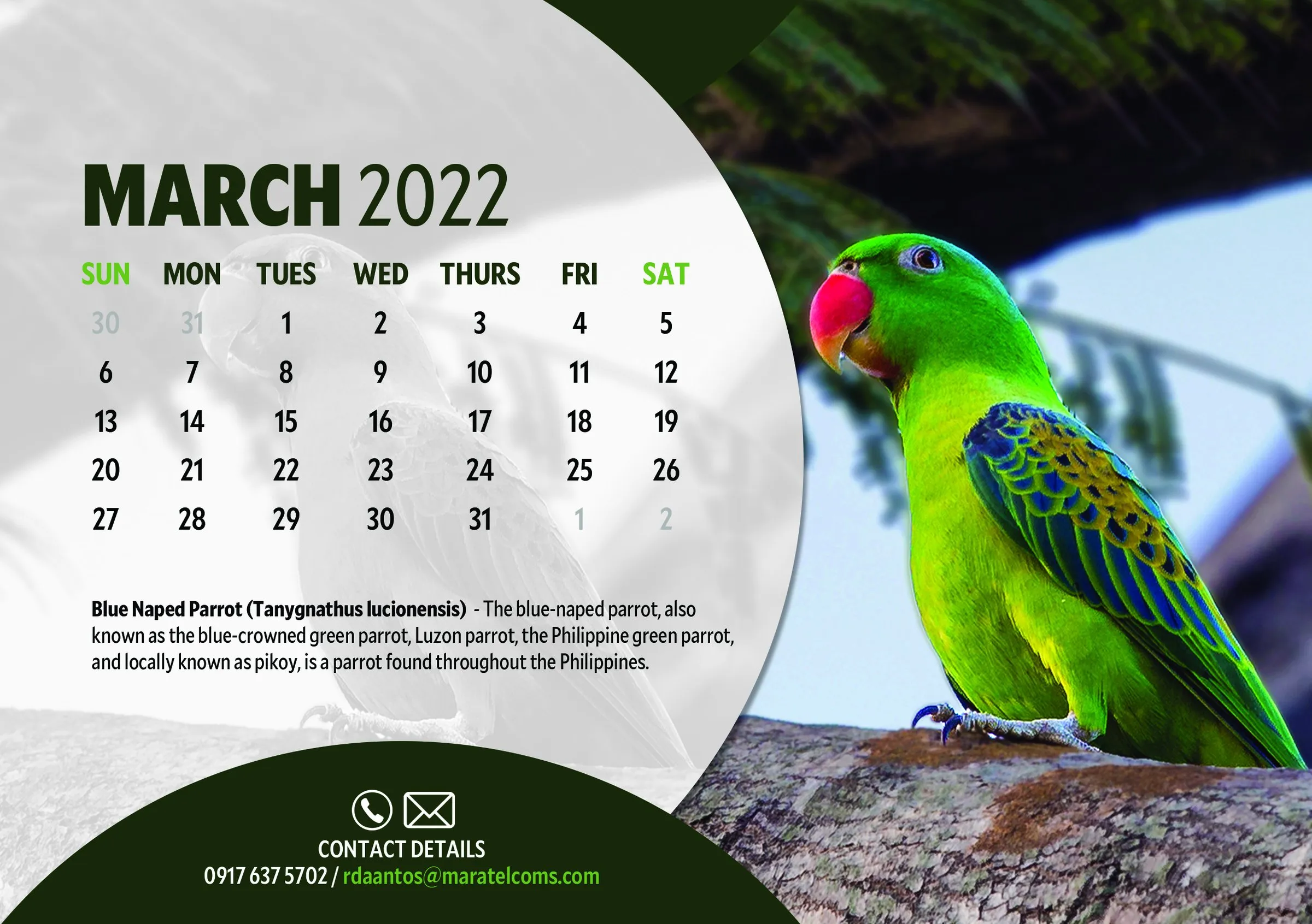 March 2022 page with a Blue-naped Parrot, a bright green parrot found across the Philippines.